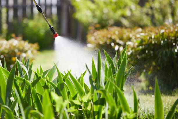 24/7 Emergency Mosquito Control experts in Southport, IN